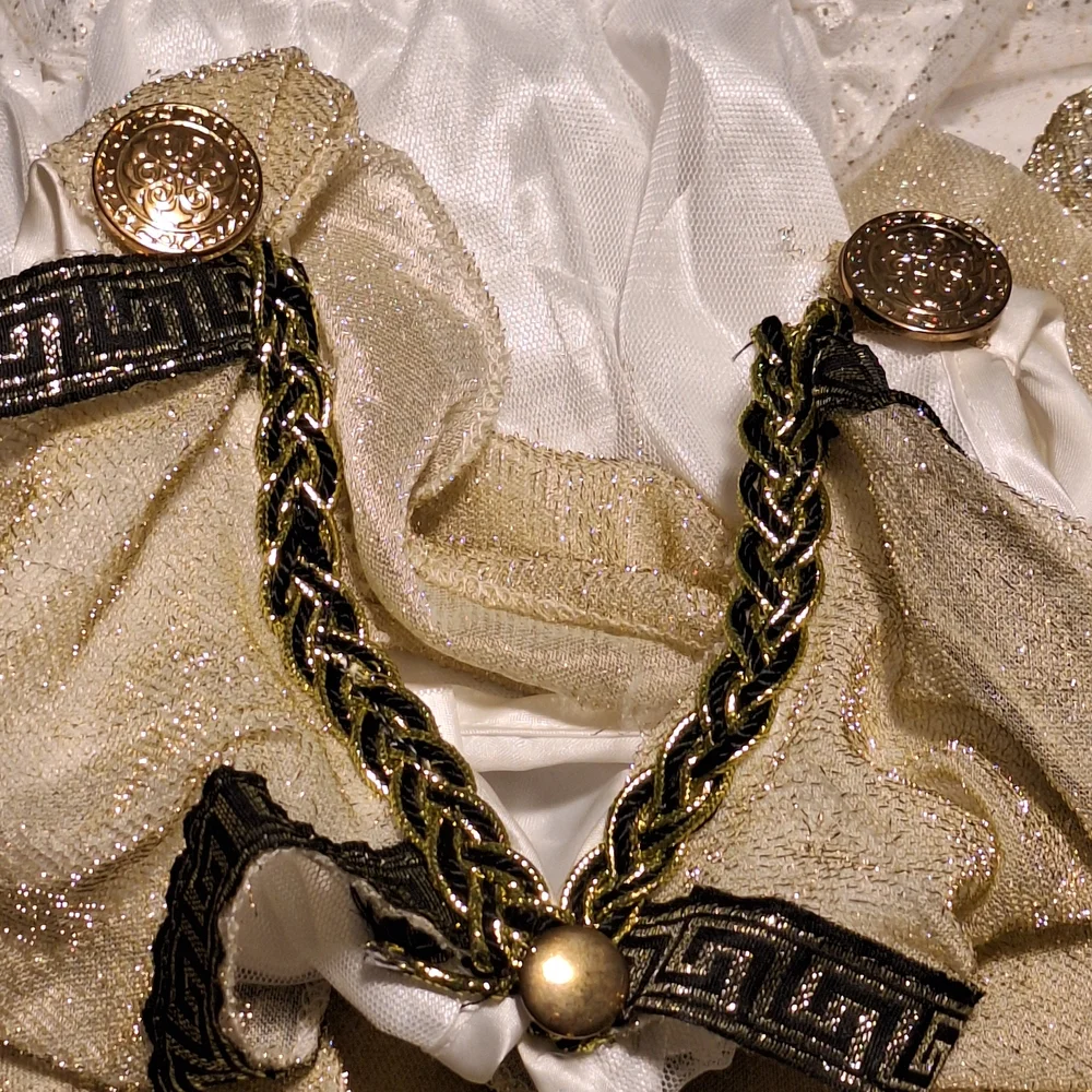 Spirit Golden Goddess Costume - Gold and Cream Signature Collection